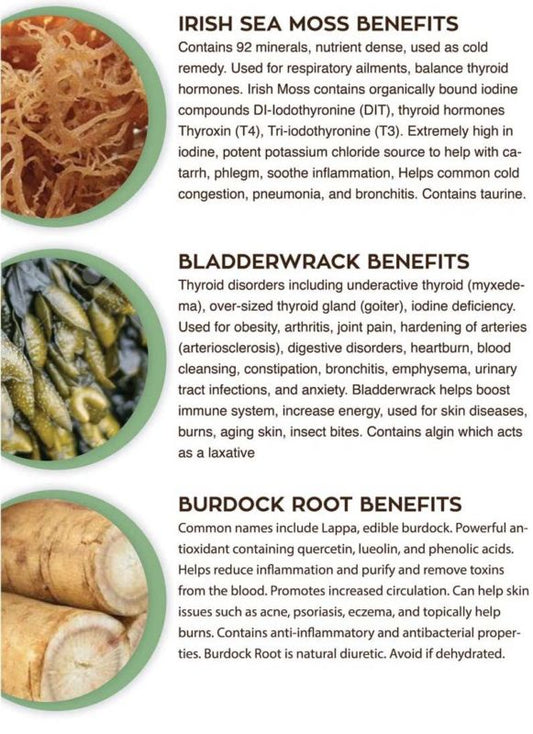 Organic Irish Sea Moss, Burdock root, & Bladderwrack Capsules (30 day supply)